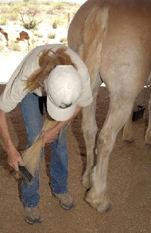 Chores-at-Connections