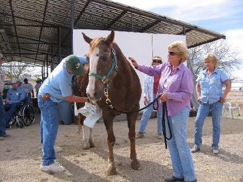Chores-at-Connections