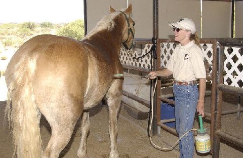 Chores-at-Connections