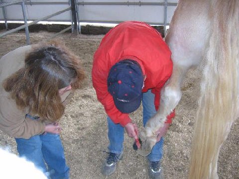 Chores-at-Connections