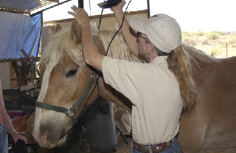 Chores-at-Connections