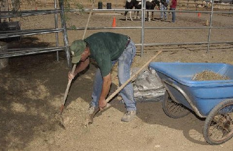 Chores-at-Connections