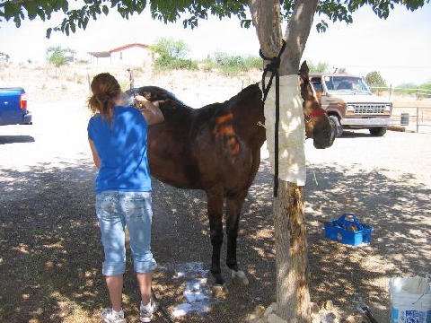 Chores-at-Connections