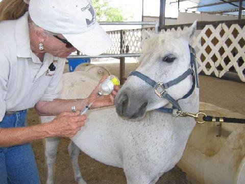 Chores-at-Connections