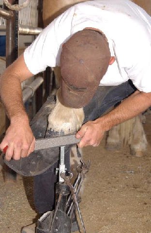 Chores-at-Connections