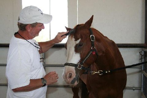 Chores-at-Connections