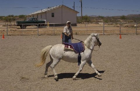 Chores-at-Connections