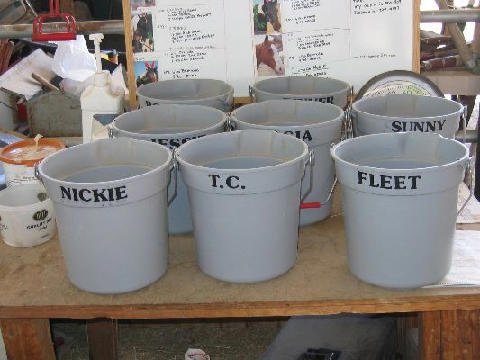 Chores-at-Connections