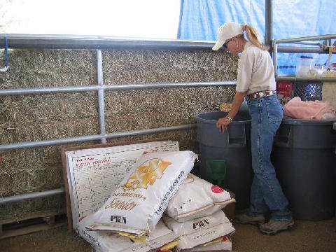 Chores-at-Connections