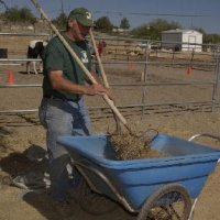 Chores-at-Connections