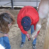 Chores-at-Connections