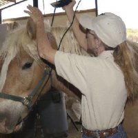 Chores-at-Connections