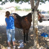 Chores-at-Connections