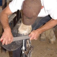 Chores-at-Connections