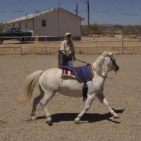 Chores-at-Connections