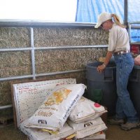 Chores-at-Connections