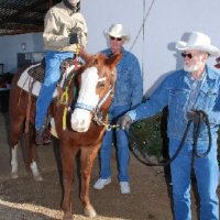 Photo Archive » Christmas 2007 