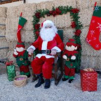 Photo Archive » Christmas-2009