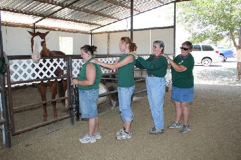 Connections-Volunteers