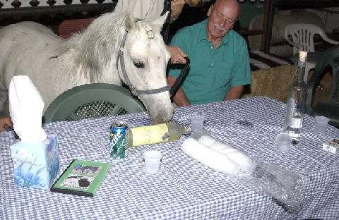 Connections-Volunteers