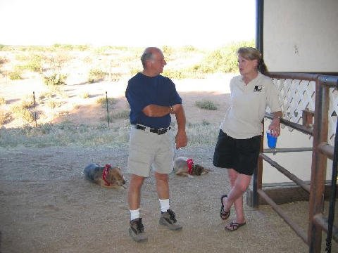 Connections-Volunteers