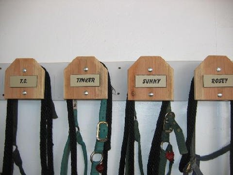 Connections-Volunteers