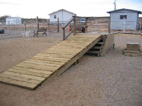 Connections-Volunteers