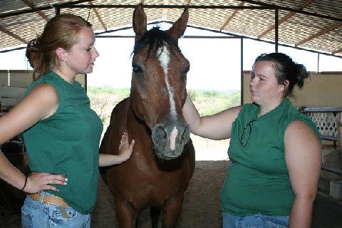 Connections-Volunteers