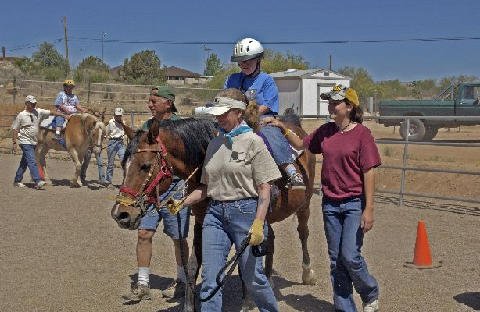 Connections-Volunteers