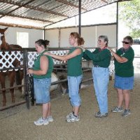 Connections-Volunteers