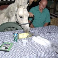 Connections-Volunteers