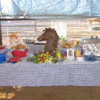 Connections-Volunteers