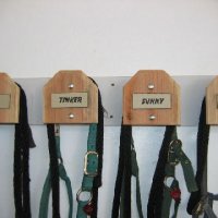 Connections-Volunteers