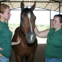 Photo Archive » Connections Volunteers