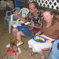 Connections-Volunteers