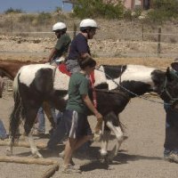 Connections-Volunteers