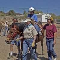 Connections-Volunteers