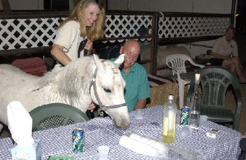 Critters at Connections