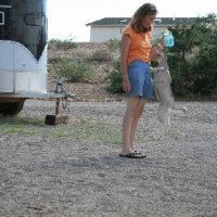 Critters at Connections