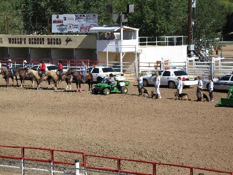 Equifest 2006 - Prescott