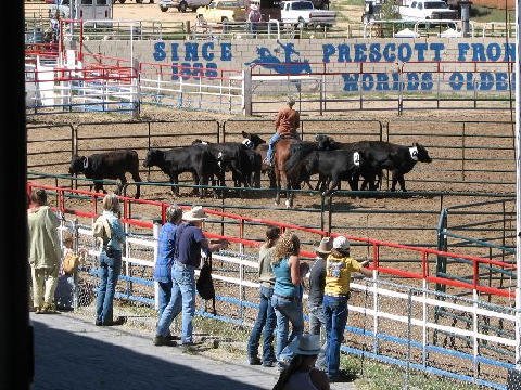 Equifest 2006 - Prescott