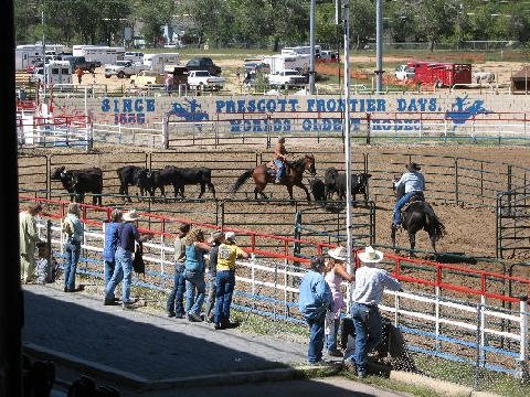 Equifest 2006 - Prescott