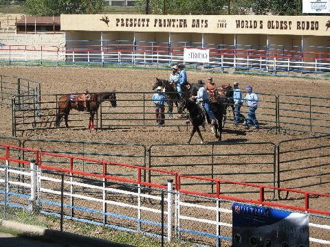Equifest 2006 - Prescott