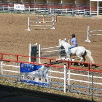 Photo Archive » Equifest 2006 - Prescott