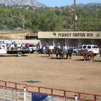 Equifest 2006 - Prescott