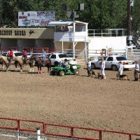 Equifest 2006 - Prescott