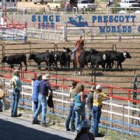 Equifest 2006 - Prescott