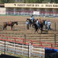 Equifest 2006 - Prescott