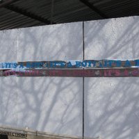 Photo Archive » Foal-Shower