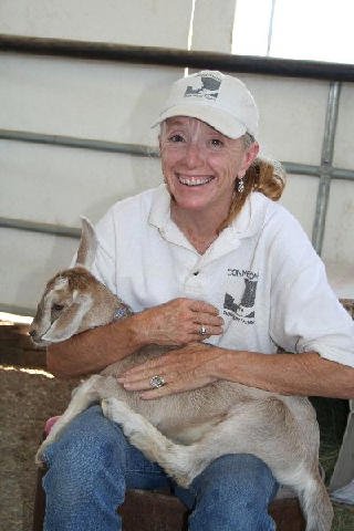 Fun Stuff at Connections